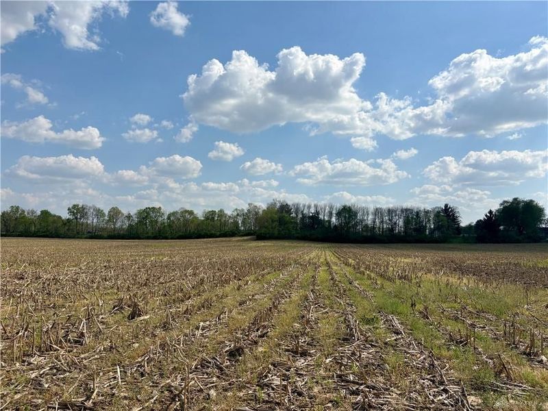0 Tipp Elizabeth Rd, New Carlisle, OH 45344 Photo 8