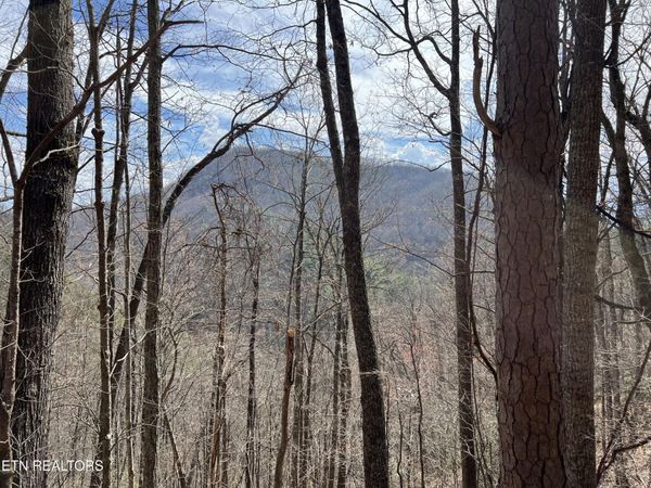 0 Aintree Drive , Unit 26, Sevierville, TN 37876