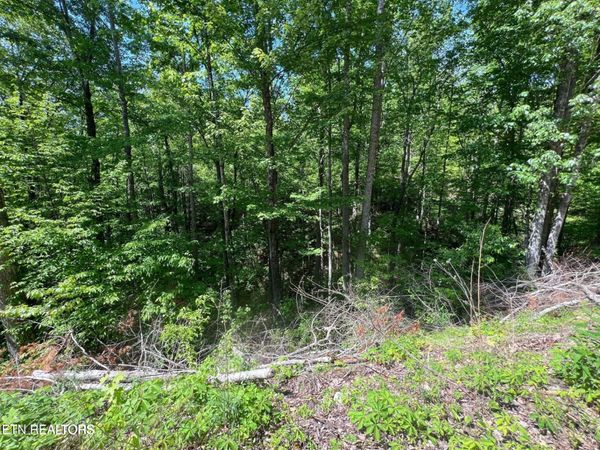 26 Black Oak Pl Place , Unit 26, Sevierville, TN 37876
