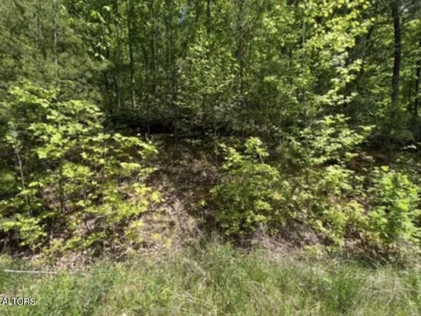 50 Yellowwood Drive , Unit 50, Sevierville, TN 37876