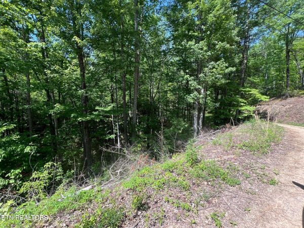 55 Butternut Lane , Unit 55, Sevierville, TN 37876