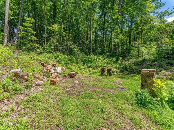 229 Sonshine Ridge Rd , Unit 4-5, Cosby, TN 37722