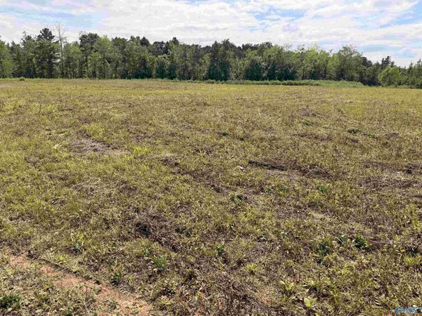Lot 48 County Road 32, Piedmont, AL 36272
