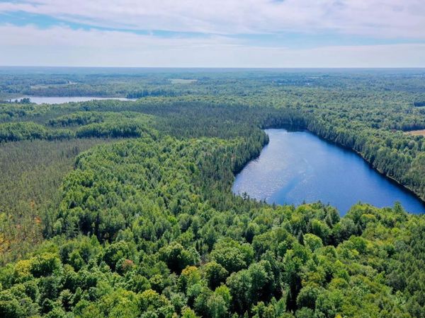 +/-499.15 ac HORSESHOE LAKE AVENUE, Medford, WI 54451