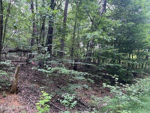 3278 Hillside Rd , Unit 1427, White Pine, TN 37890