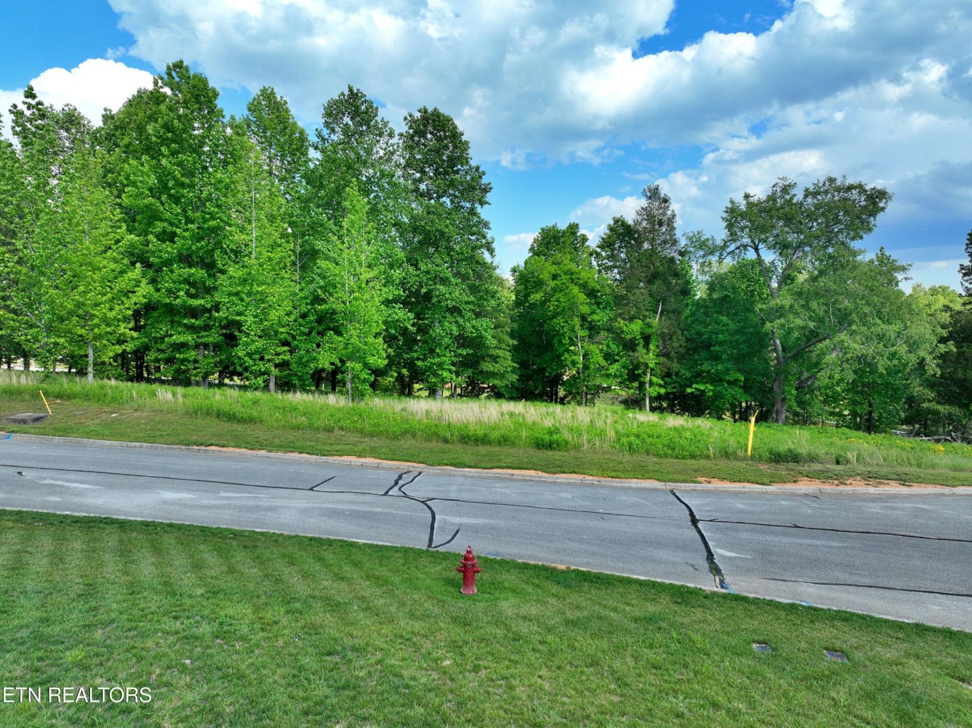 56 Blue Heron Bluff Rd , Harriman, TN 37748 Main Photo