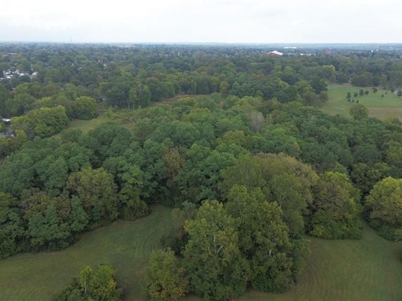 1015 Hillcrest Avenue, Springfield, OH 45504 Photo 5