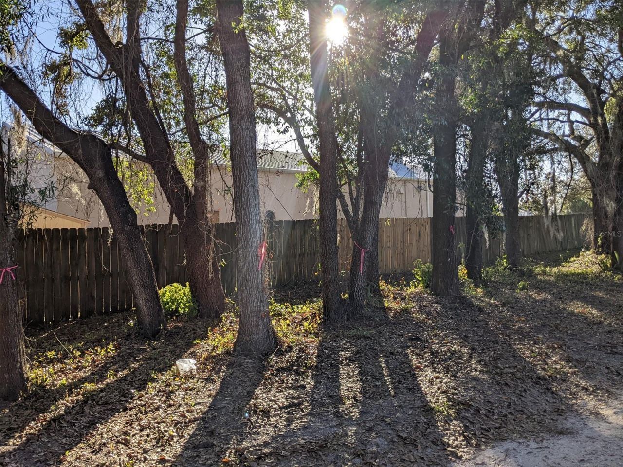 11215 Davis Road, Tampa, FL 33637 Photo