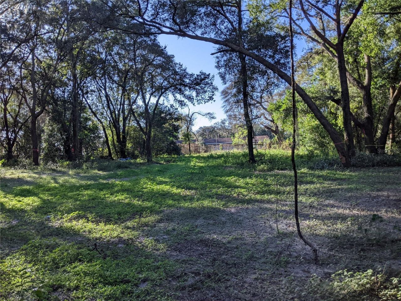 11215 Davis Road, Tampa, FL 33637 Photo