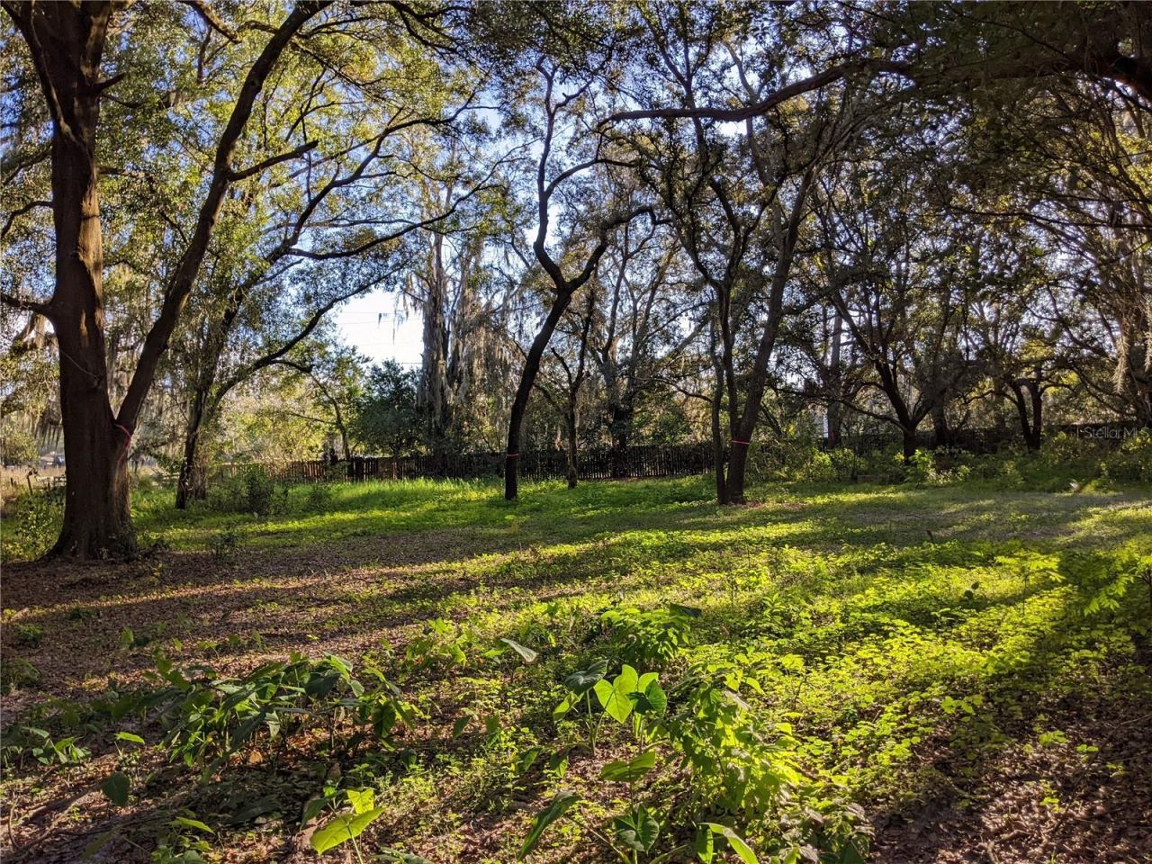 11215 Davis Road, Tampa, FL 33637 Photo