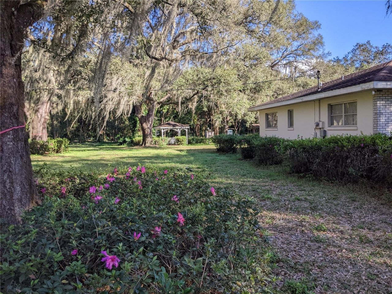 11215 Davis Road, Tampa, FL 33637 Photo