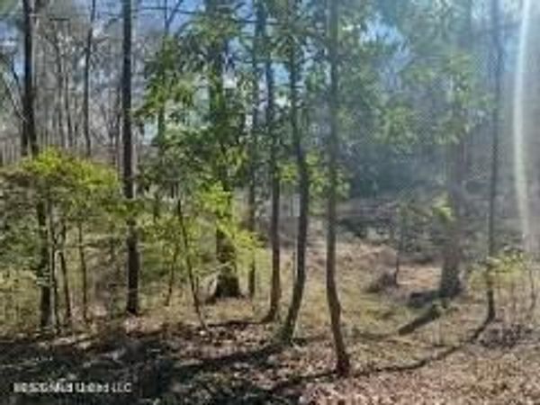 Turkey Creek Road, Natchez, MS 39120