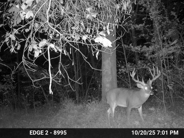 9330 Old Highway 13, Murphysboro, IL 62966