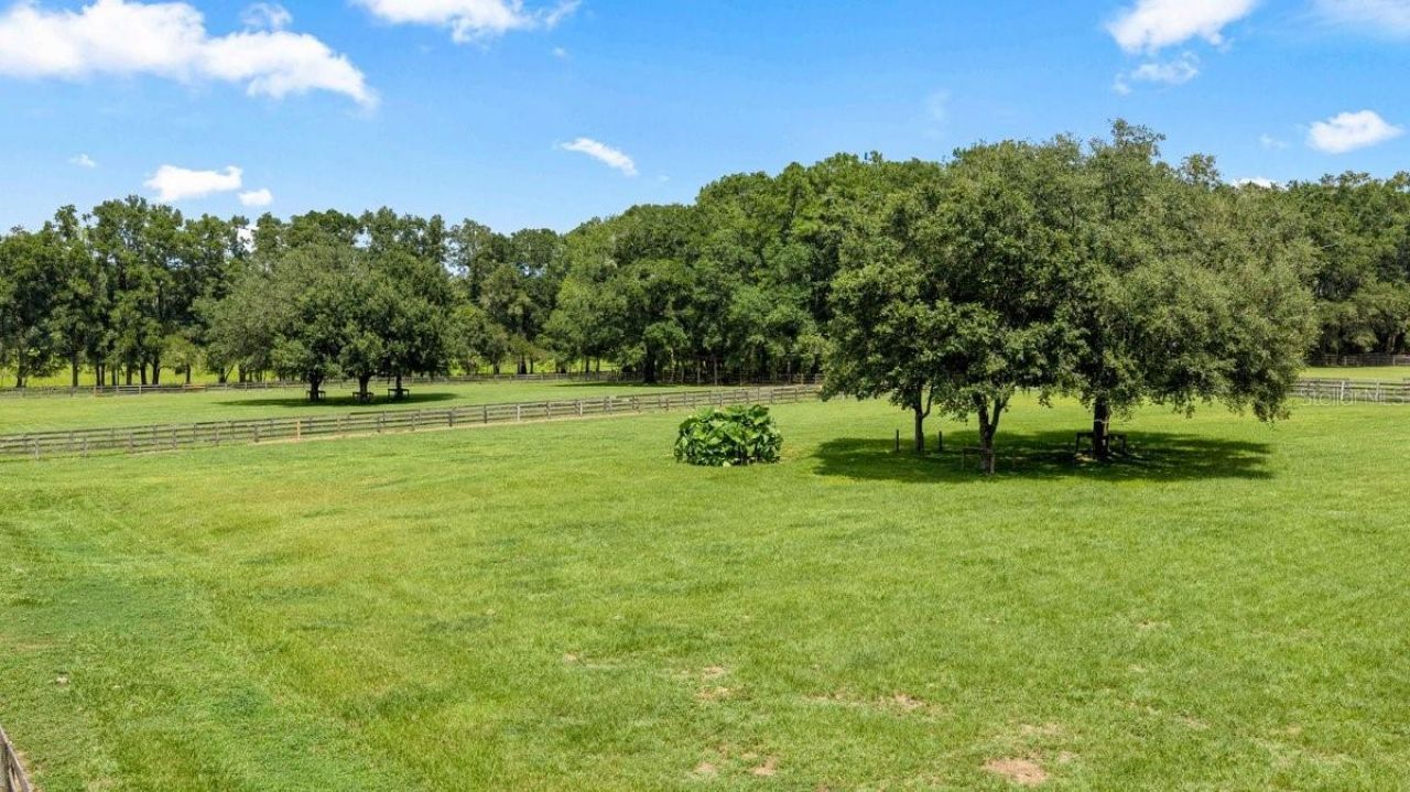 19505 NW 184th Terrace, High Springs, FL 32643 Photo