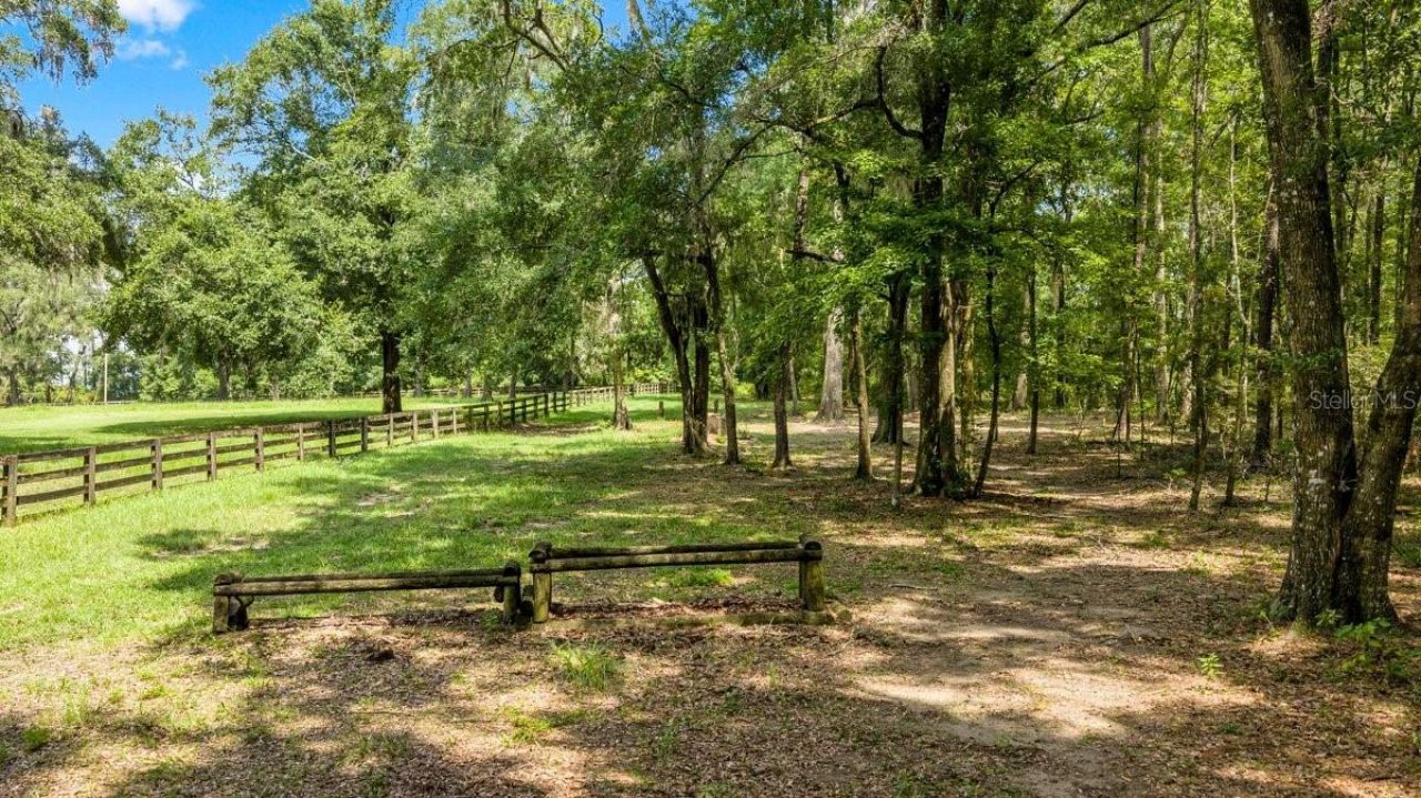 19505 NW 184th Terrace, High Springs, FL 32643 Photo