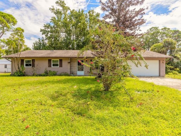 2629 UMBRELLA TREE DRIVE , EDGEWATER, FL 32141
