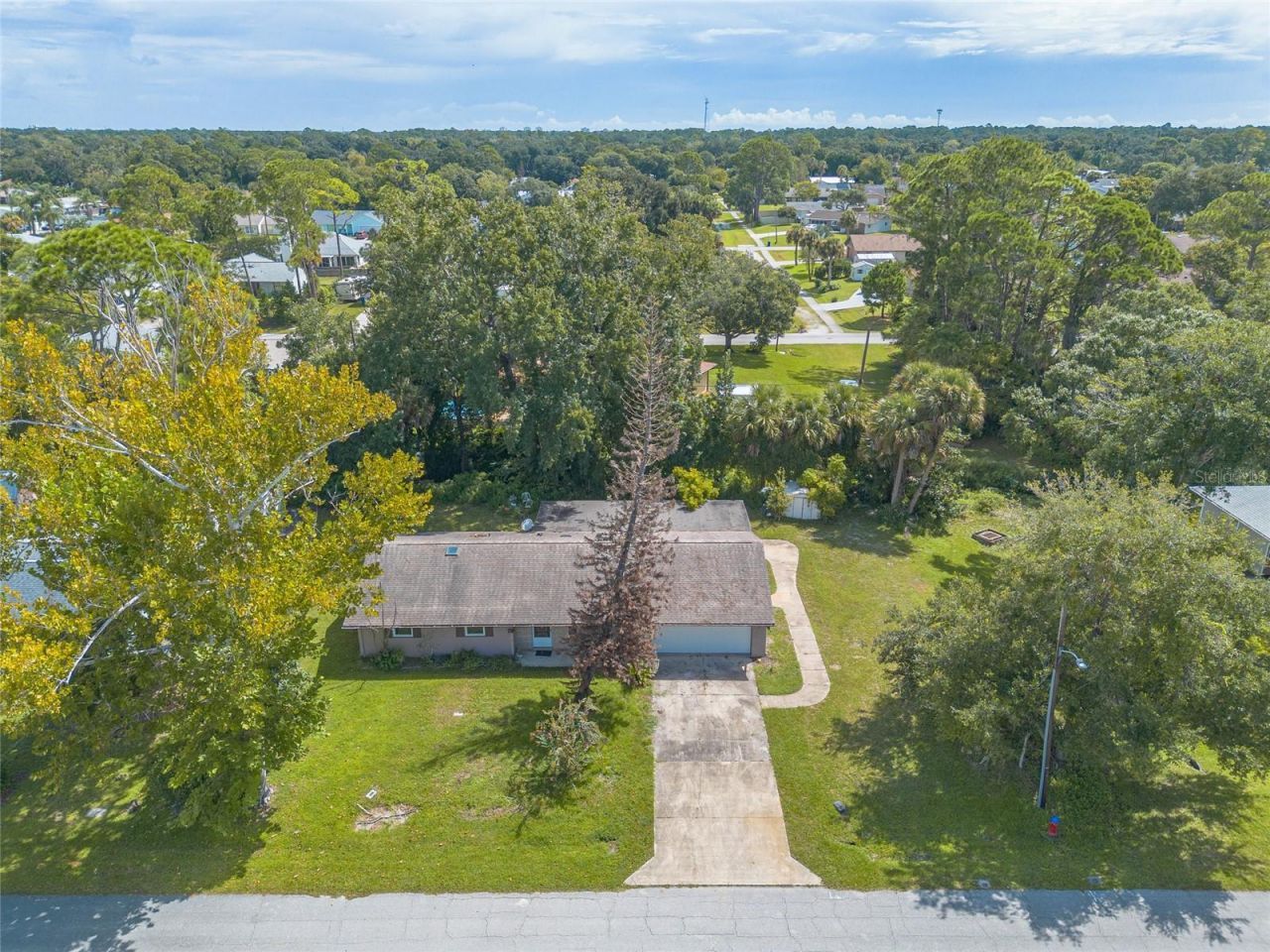 2629 Umbrella Tree Drive, Edgewater, FL 32141 Photo