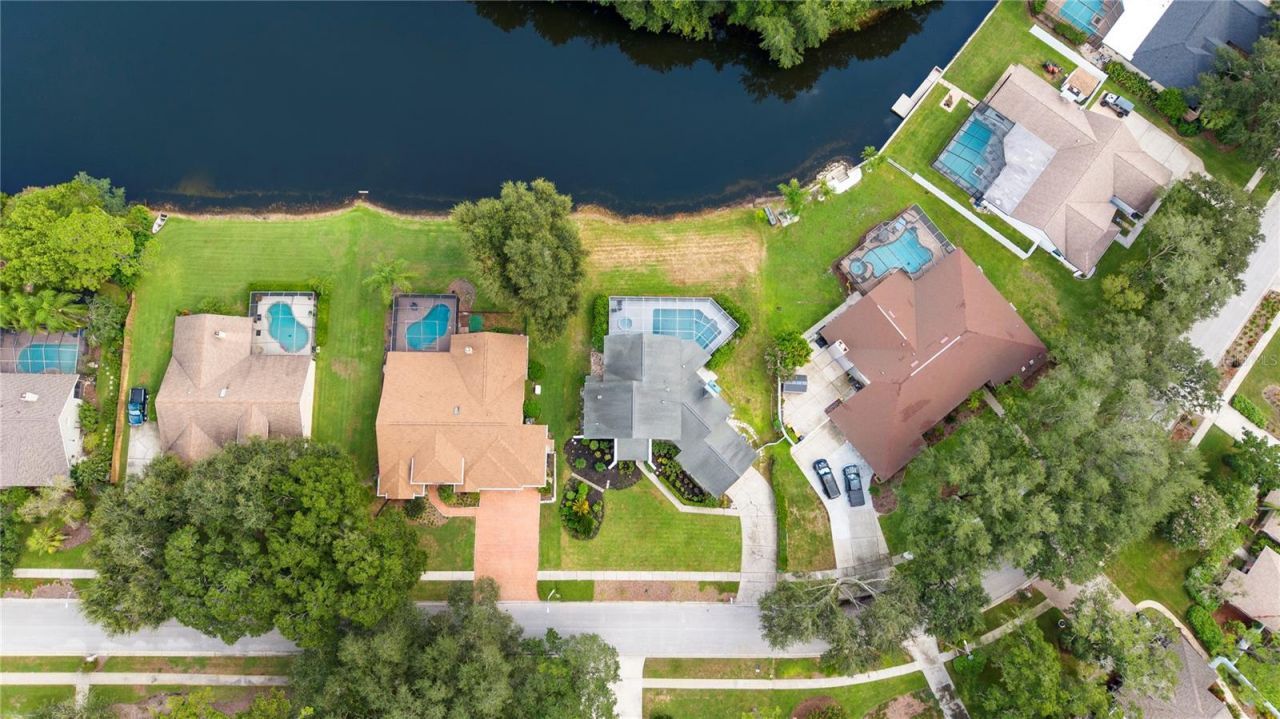 17919 Clear Lake Drive, Lutz, FL 33548 Photo