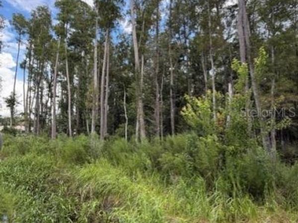 WESLEY CHAPEL BLVD , LUTZ, FL 33559
