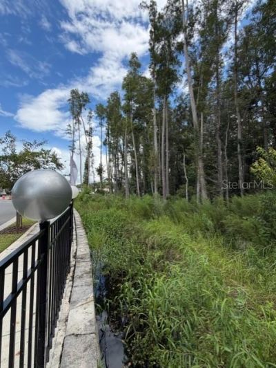 Wesley Chapel Blvd , Lutz, FL 33559 Photo