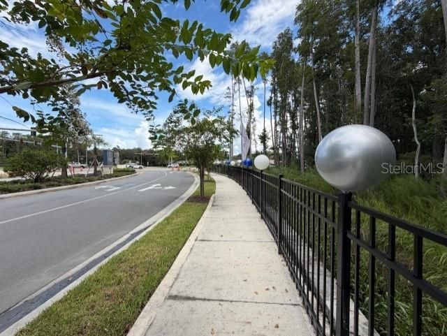Wesley Chapel Blvd, Lutz, FL 33559 Photo