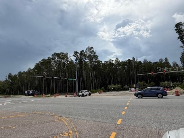 Wesley Chapel Blvd , Lutz, FL 33559 Photo