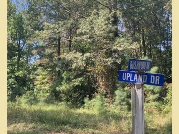 LOT 18 WOODBUSH DRIVE, BUSHWOOD, MD 20618