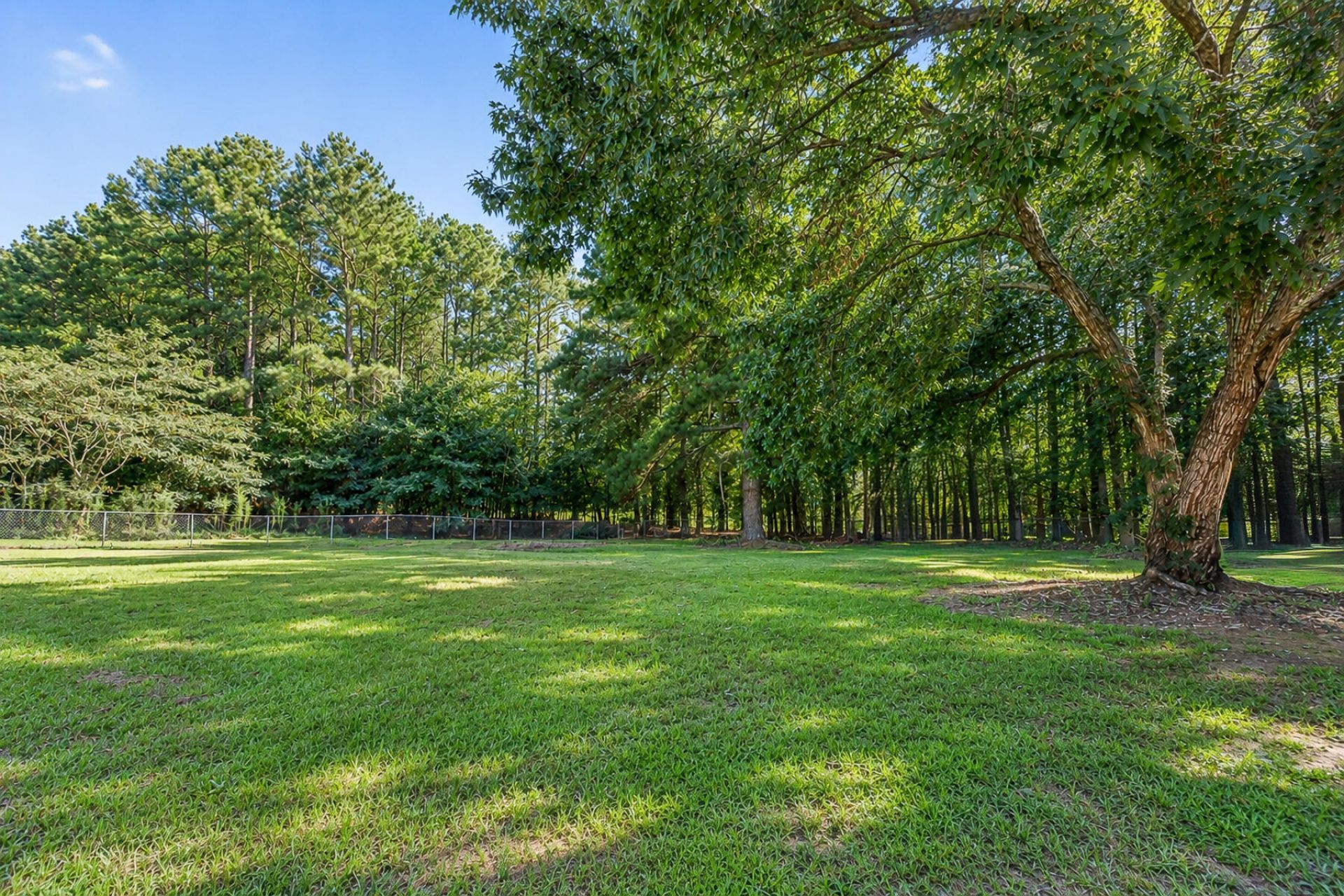 145 Brown Meadows Court Photo 52