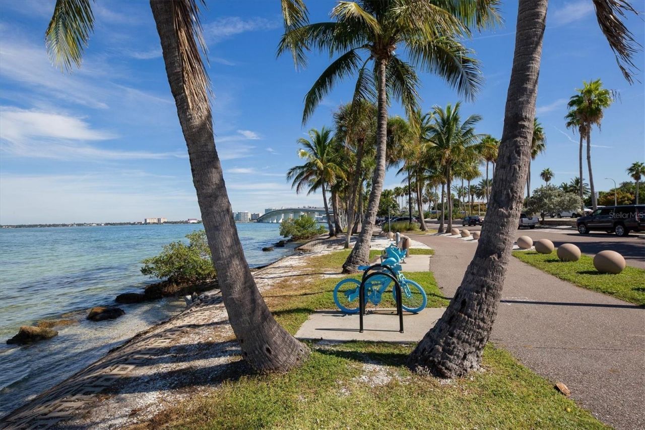 8325 38th Street Circle E, Unit 307, Sarasota, FL 34243 Photo
