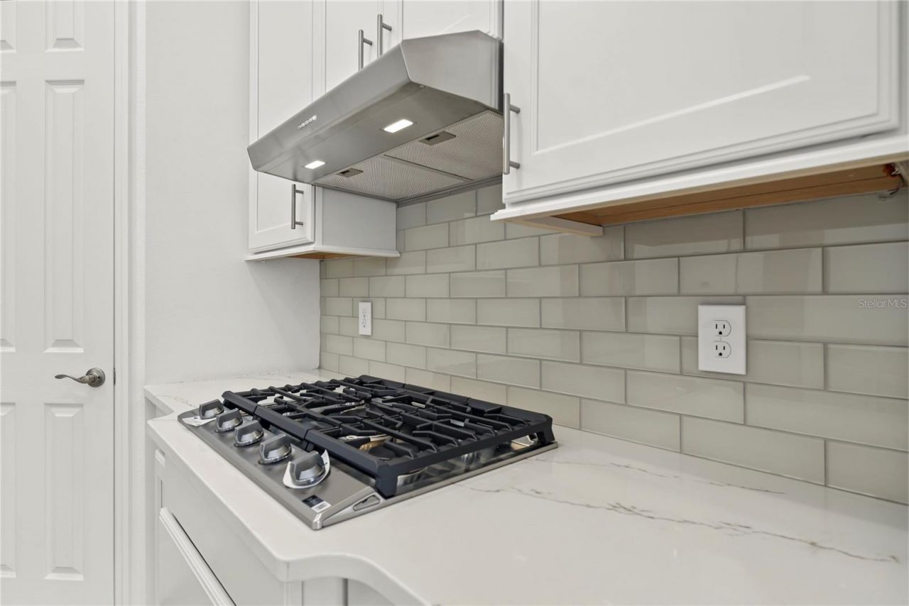 3951 Kennebunk Loop , Mount Dora, FL 32757 Photo