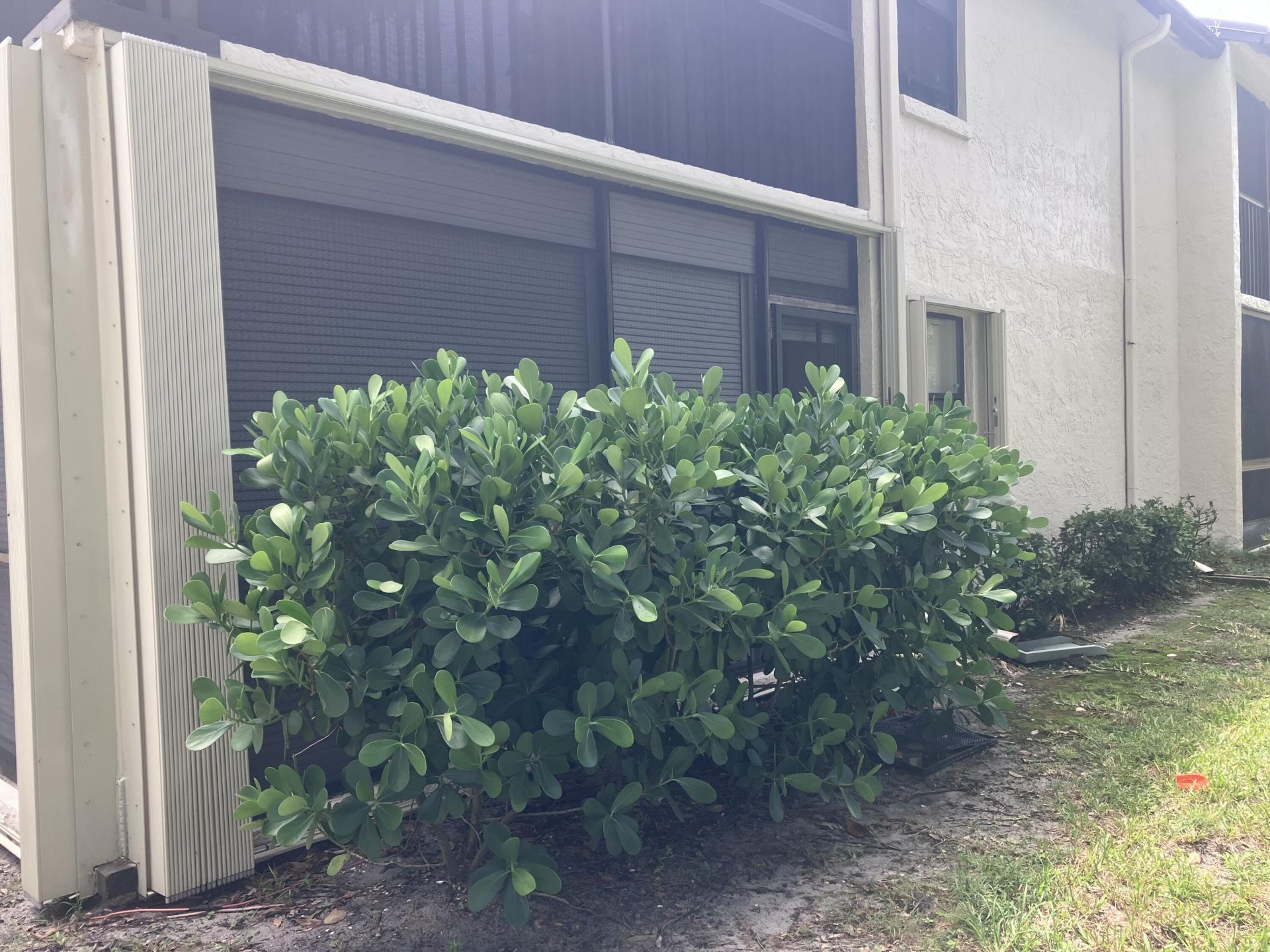 3323 Perimeter Drive, Unit 1616, Greenacres, FL 33467 Photo