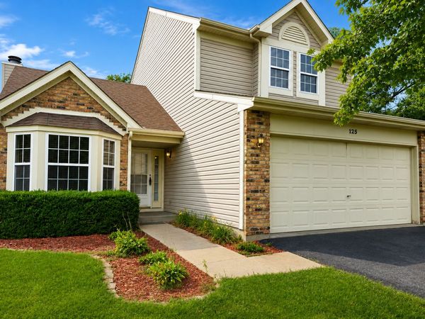 125 Hamlet Circle , Montgomery, IL 60538