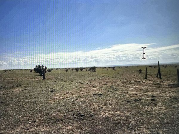 101 A Jacobs Road , Edgewood, NM 87015