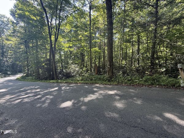 Tbd Viking Mountain Road, Greeneville, TN 37743