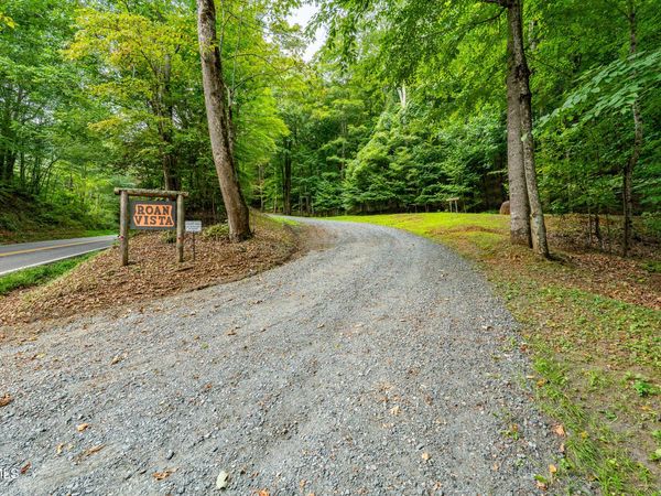 Lot 16 High Point Drive, Roan Mountain, TN 37687