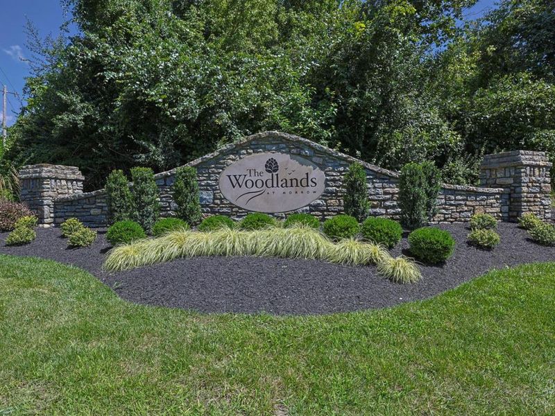 5815 Josies Cove, Morrow, OH 45152 Photo 39