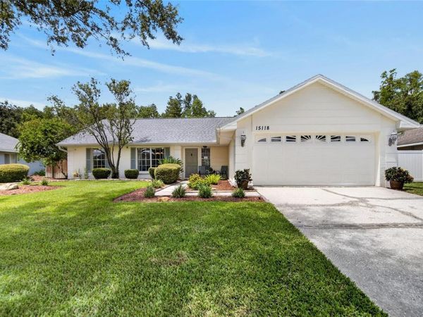 15118 NATUREWALK DRIVE , TAMPA, FL 33624