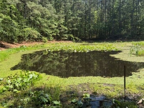 0 Sturgeon Road , Lawrenceville, VA 23868