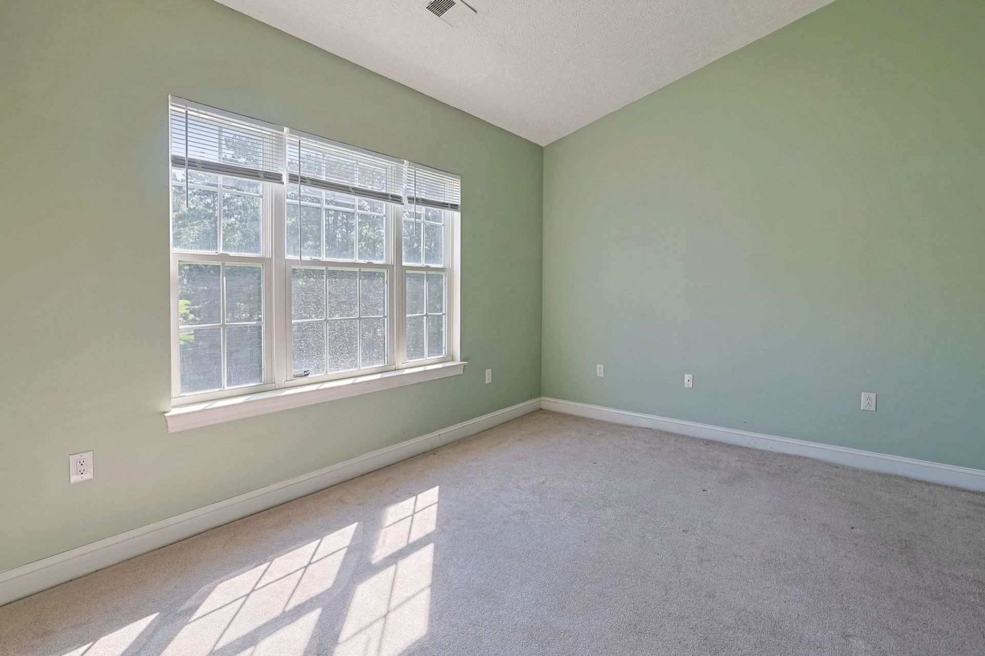 1141 Peace Pipe Pl. Photo 10