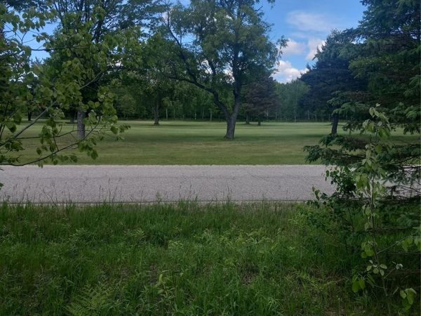 8648 Pineview Drive , Mancelona Township, Mi 49659