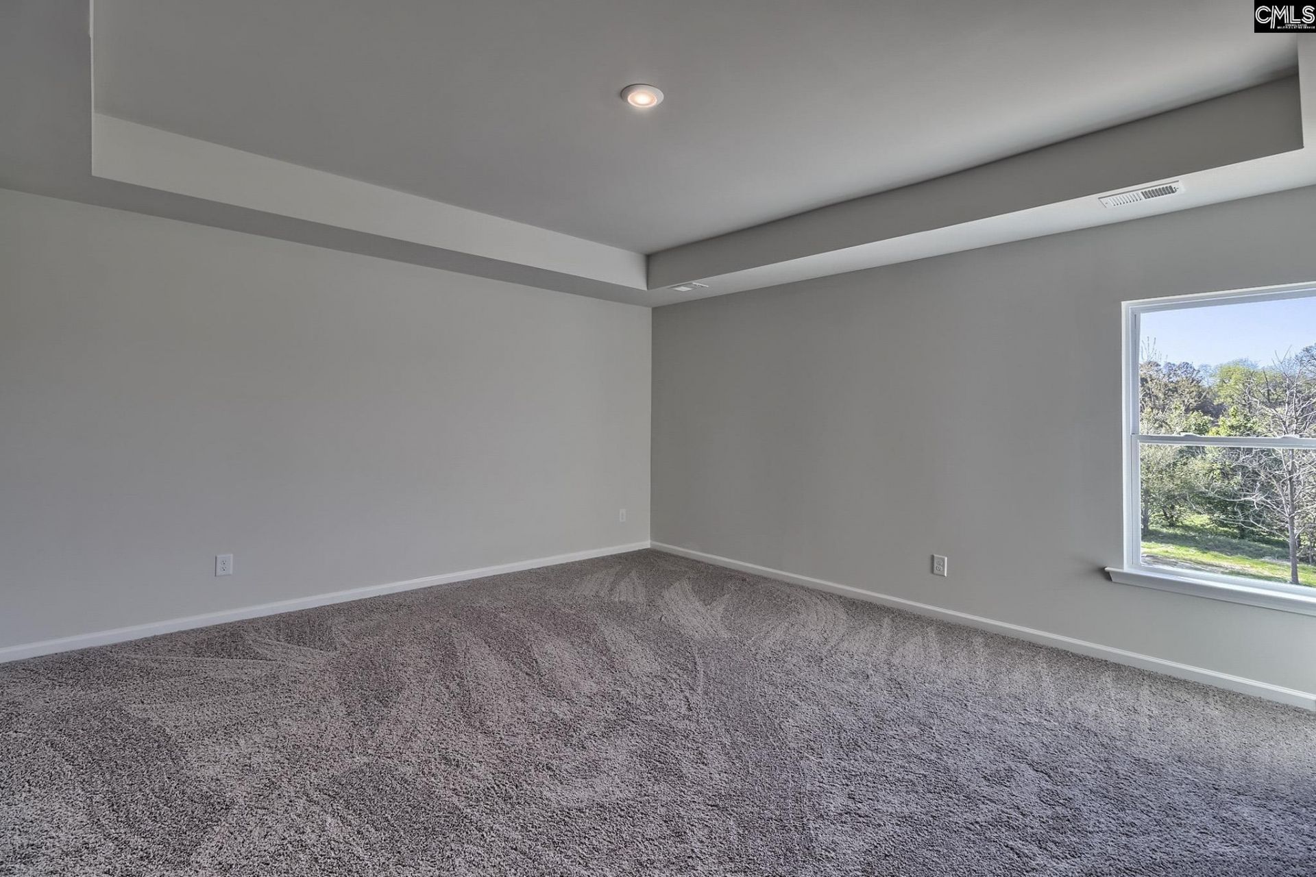 160 Calm Citadel Drive Photo 12