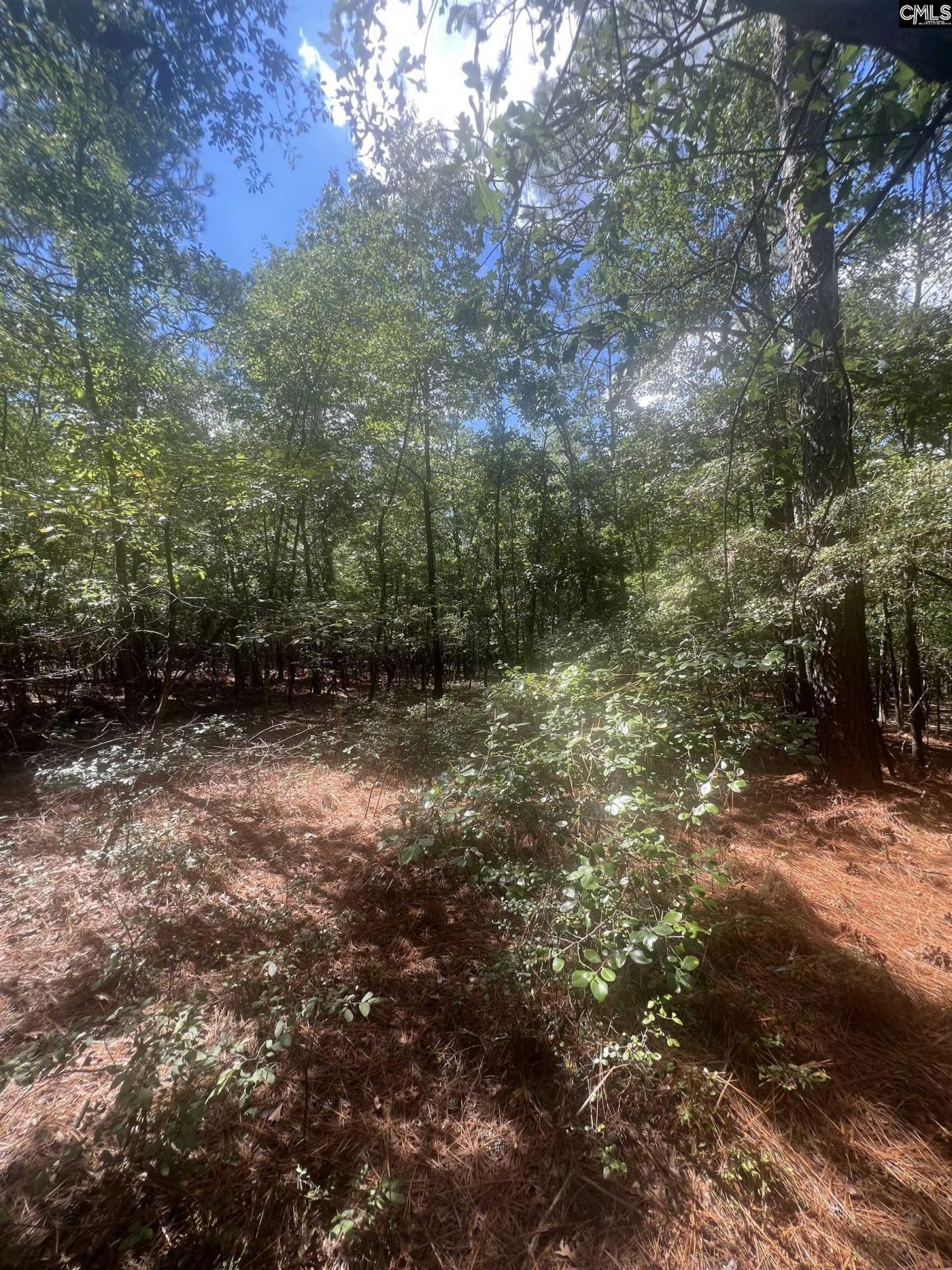 1529 Elbert Taylor Road  Photo 17