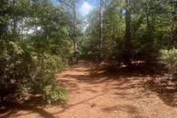 1529 Elbert Taylor Road  photo 4