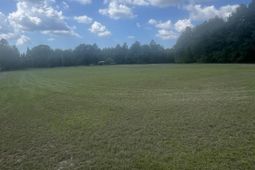 1529 Elbert Taylor Road  photo 4