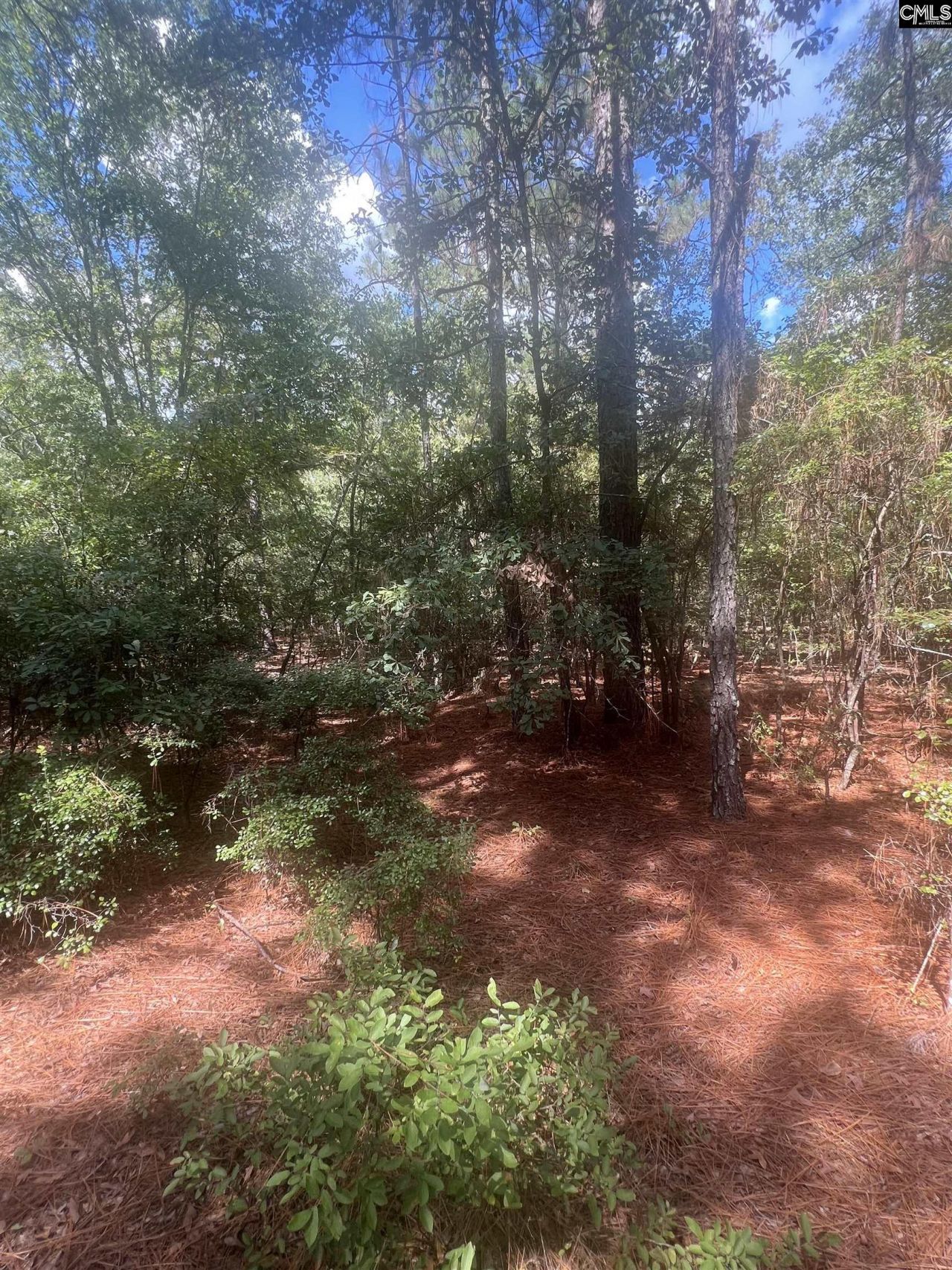 1529 Elbert Taylor Road  Photo 4