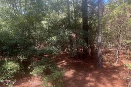 1529 Elbert Taylor Road  photo 4