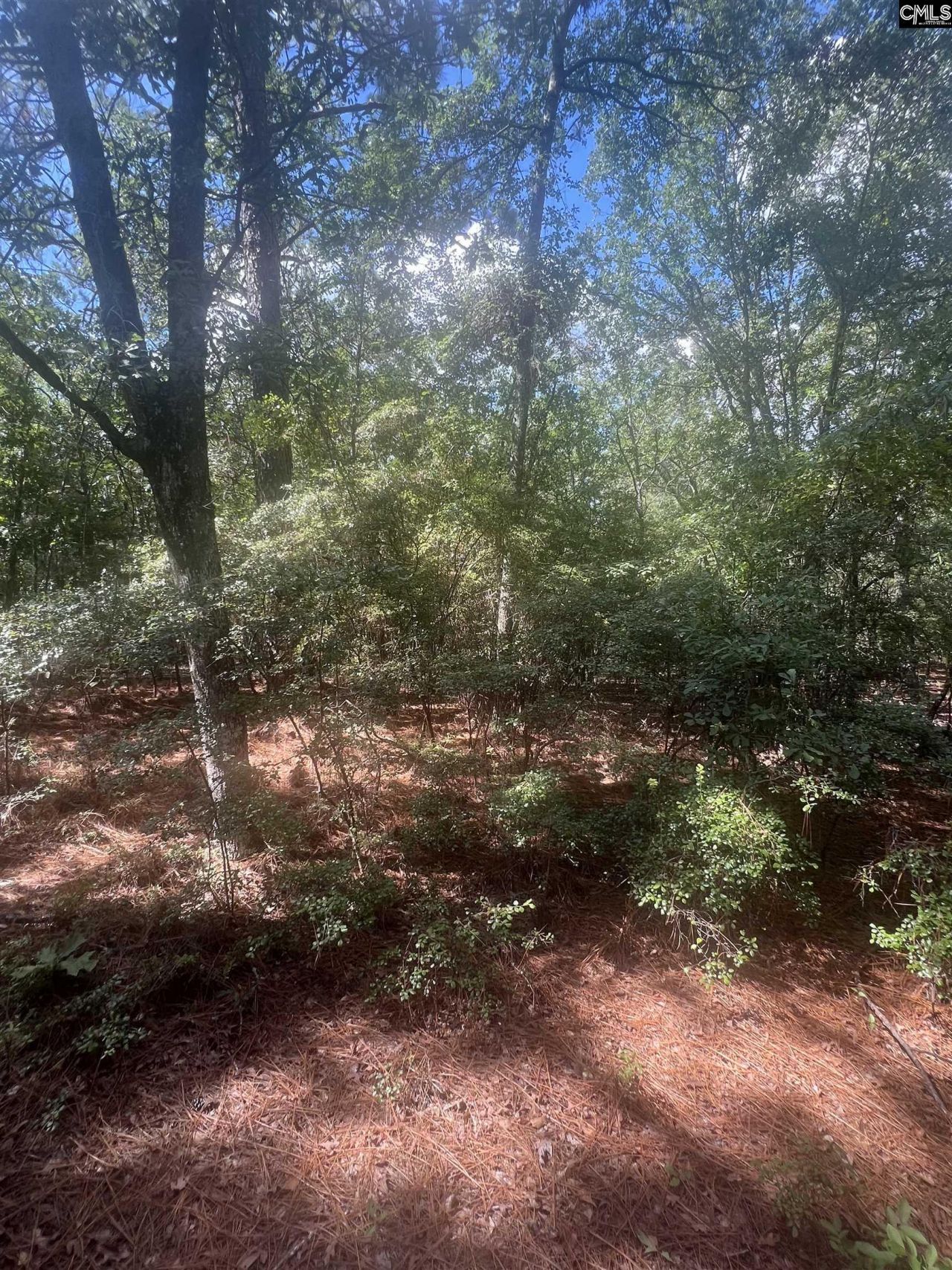 1529 Elbert Taylor Road  Photo 6
