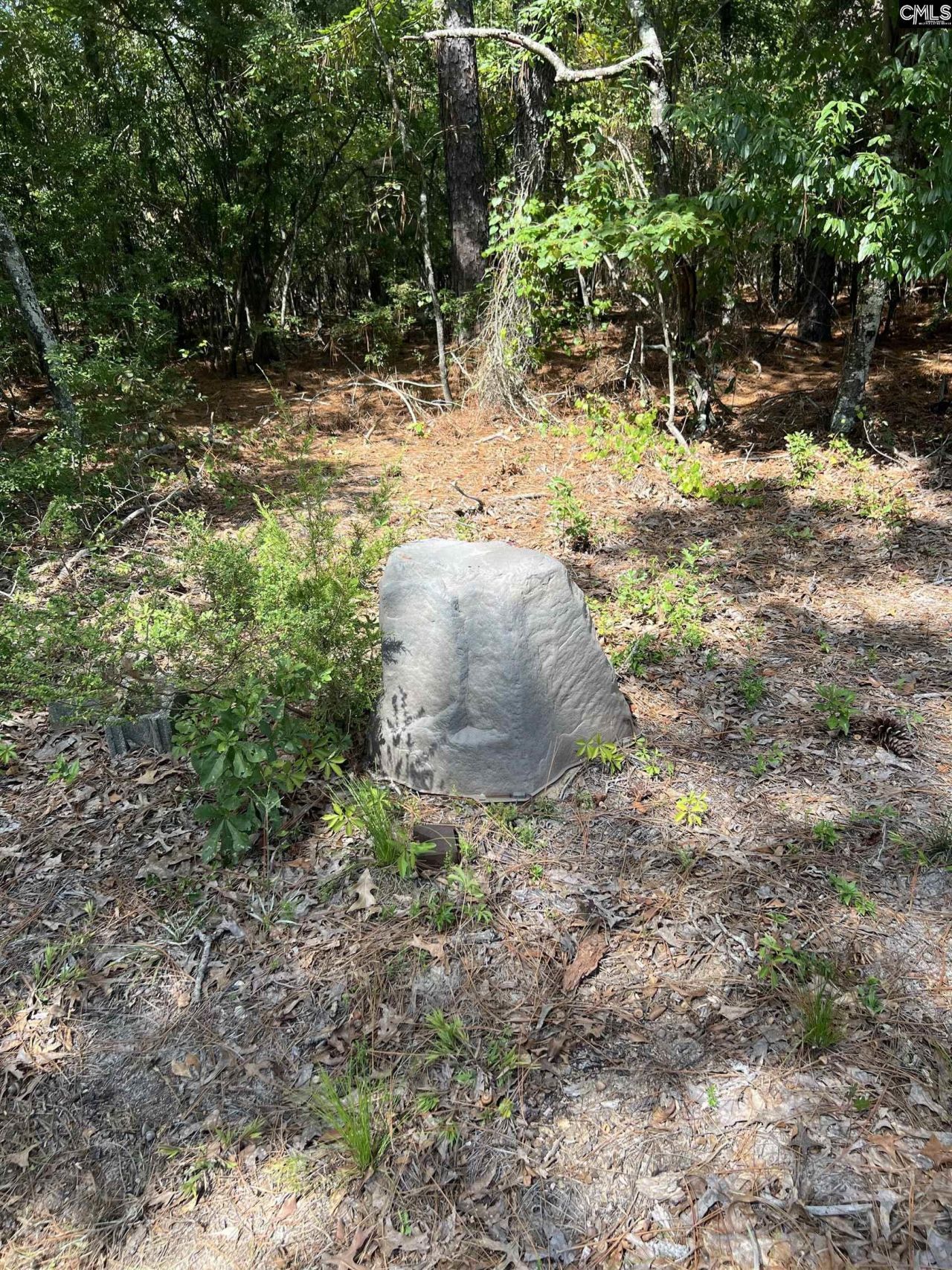1529 Elbert Taylor Road  Photo 7