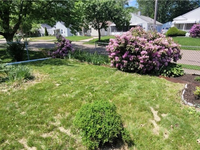 826 Reed, Akron, OH 44306 Photo 3