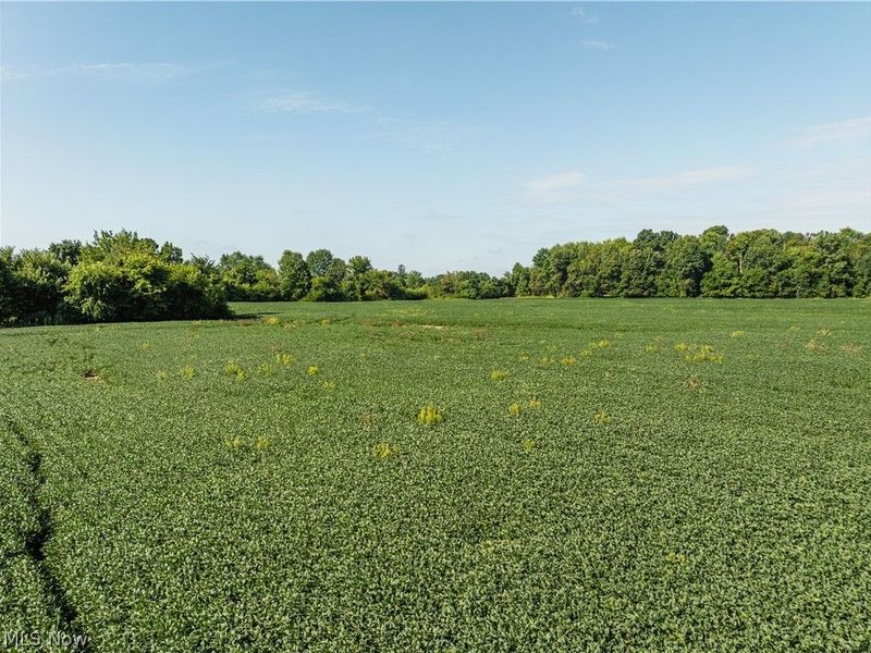Sycamore Road, Centerburg, OH 43011 Photo 1